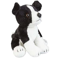 Foto van Pluche knuffel dieren border collie hond van 19 cm - knuffel huisdieren