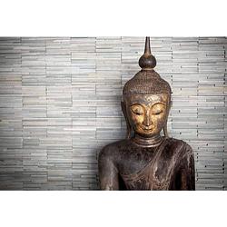 Foto van Wizard+genius thailand buddha vlies fotobehang 384x260cm 8-banen