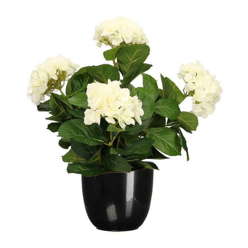 Foto van Hortensia kunstplant/kunstbloemen 45 cm - wit - in pot zwart glans - kunstplanten