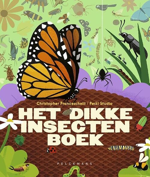 Foto van Het dikke insectenboek - christopher franceschelli - hardcover (9789463376075)