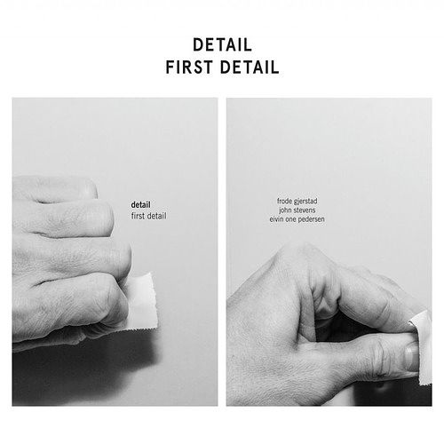 Foto van First detail - lp (7033660031667)