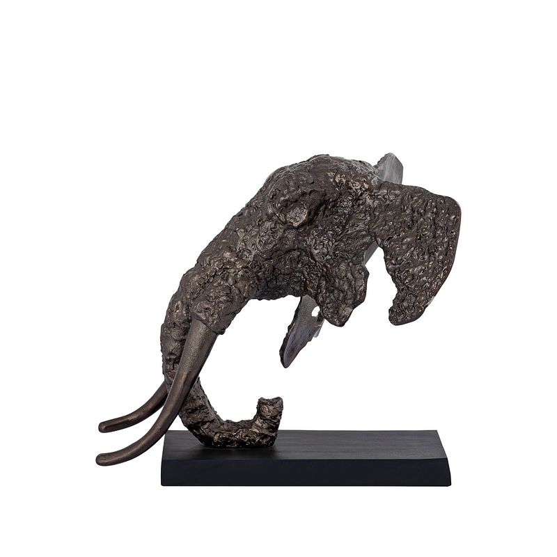 Foto van Ptmd iriss brass casted alu elephant statue black base