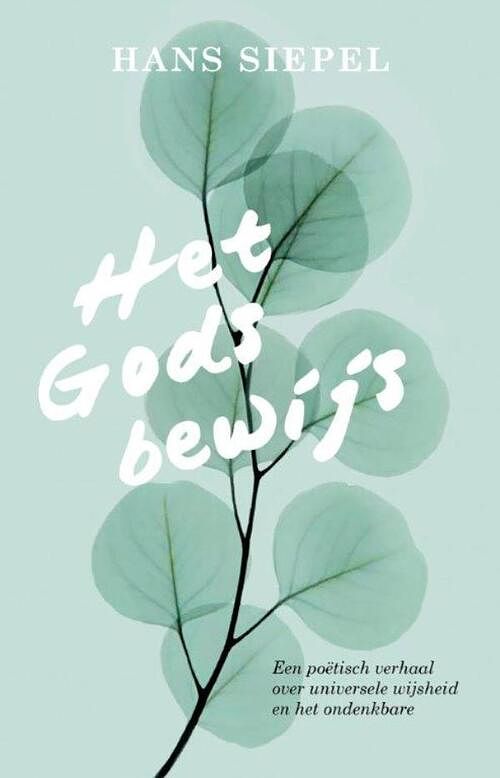 Foto van Het godsbewijs - hans siepel - ebook (9789020214697)