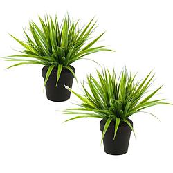 Foto van Set van 2x stuks gras/grasstruik kunstplanten in kunststof pot 33 cm - kunstplanten