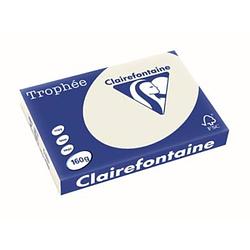 Foto van Clairefontaine trophée pastel a3 parelgrijs, 160 g, 250 vel