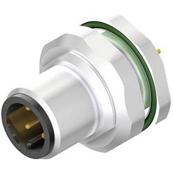 Foto van Weidmüller 2421830000 sensor/actuator steekconnector m12 aantal polen: 4 stekker, inbouw verticaal 10 stuk(s)