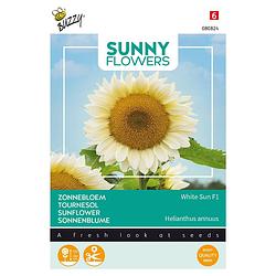 Foto van Buzzy - sunny flowers, zonnebloem white sun of day