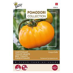 Foto van 3 stuks pomodori grappa gialla