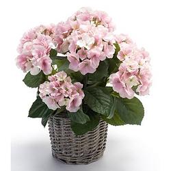 Foto van Kunstplant hortensia roze in rieten mand 45 cm - kamerplant roze hortensia