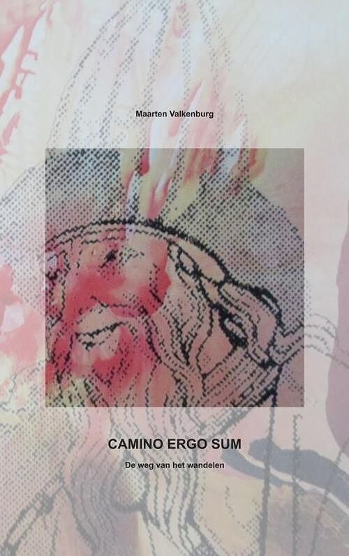Foto van Camino ergo sum - maarten valkenburg - paperback (9789464183047)