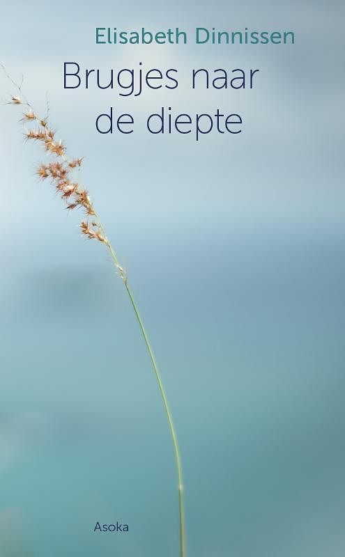 Foto van Brugjes naar de diepte - elisabeth dinnissen - paperback (9789056704100)