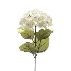 Foto van Kunstbloem hortensia - wit - 65 cm - leen bakker