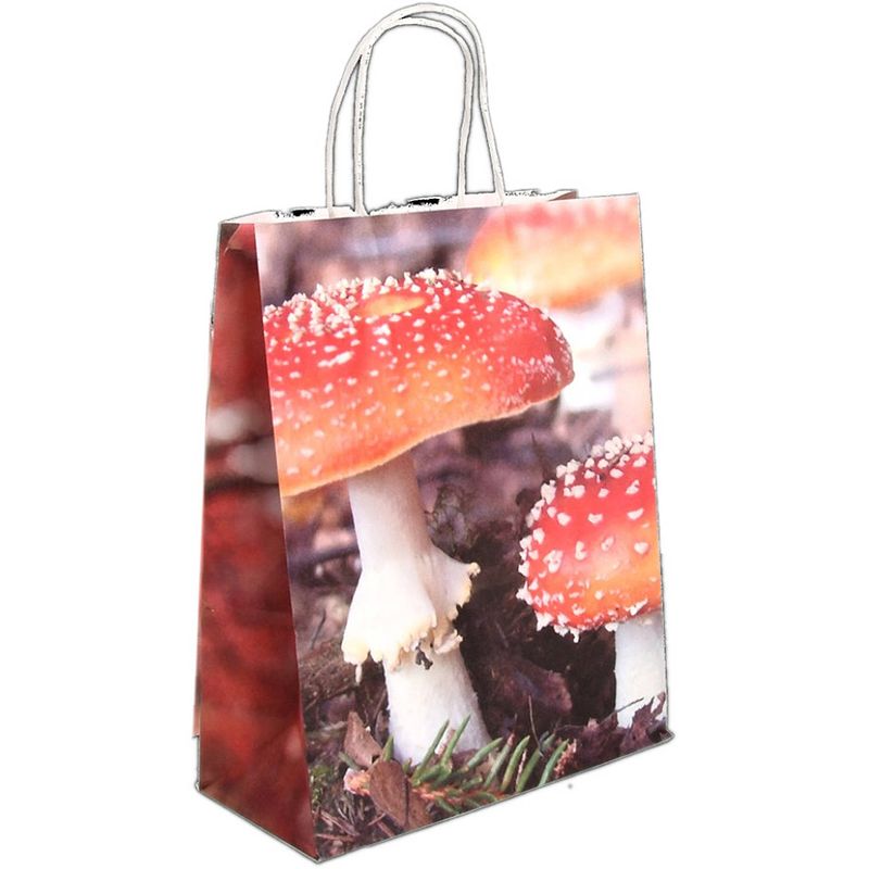 Foto van Esschert design shopper herfst 22 x 38 cm papier bruin/rood