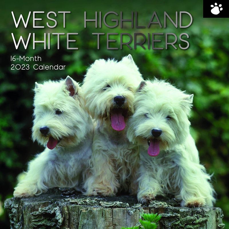 Foto van West highland white terrier kalender 2023