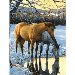 Foto van Diamond painting pakket paarden drinken water - volledig - full - 25x30 cm - seos shop ®