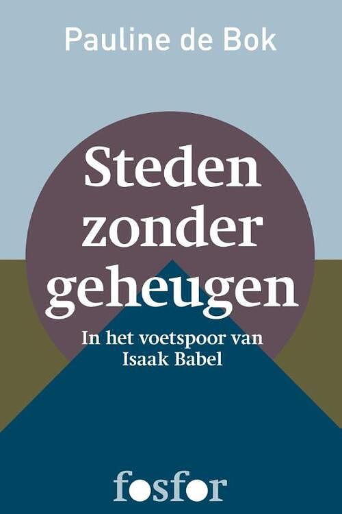 Foto van Steden zonder geheugen - pauline de bok - ebook (9789462250024)