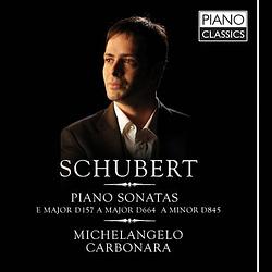 Foto van Schubert: piano sonatas vol. i - cd (5065001863400)