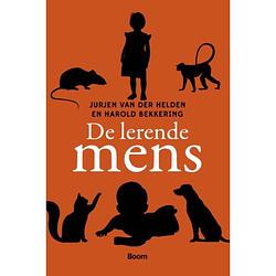 Foto van De lerende mens