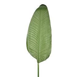 Foto van Banana leaf lvs green 110 cm kunstbloemen