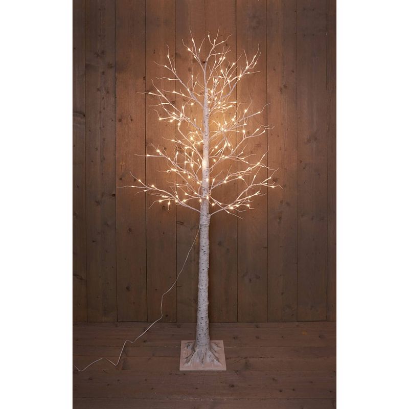 Foto van Led berkenboom 204l/200cm warm wit - incl. 4x grondpen - 31v/ip44 transformer 3.6va - 5m aanloopsnoer