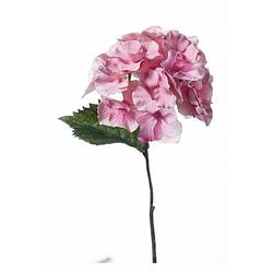 Foto van Kunstbloem hortensia tak 28 cm roze - kunstplanten