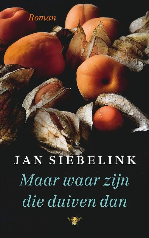 Foto van Maar waar zijn die duiven dan - jan siebelink - ebook (9789403183008)