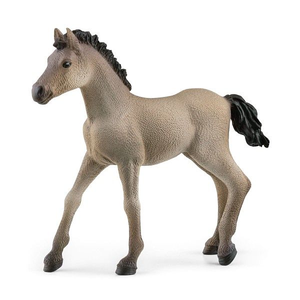 Foto van 13949 schleich criollo definitivo veulen