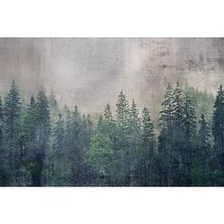 Foto van Dimex forest abstract fotobehang 375x250cm 5-banen