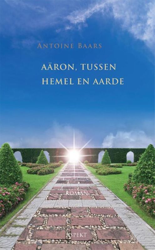 Foto van Aaron tussen hemel en aarde - antoine baars - ebook (9789464242324)