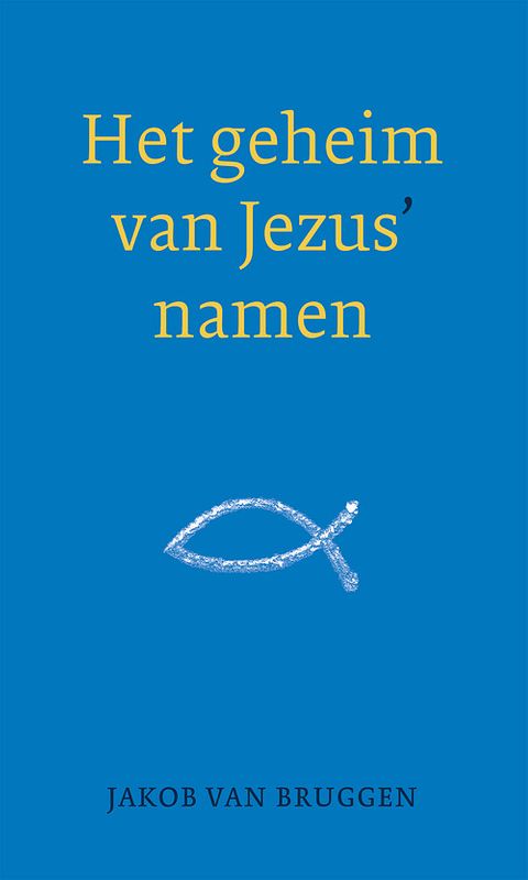 Foto van Het geheim van jezus's namen - jakob van bruggen - ebook (9789043527255)