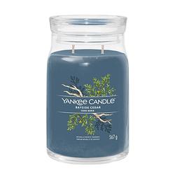 Foto van Yankee candle geurkaars large - met 2 lonten - bayside cedar - 16 cm / ø 9 cm