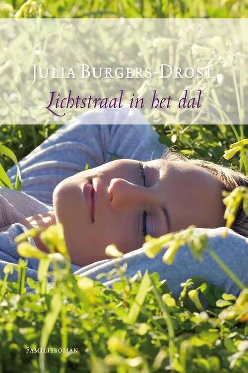 Foto van Lichtstraal in het dal - julia burgers-drost - ebook (9789059778917)