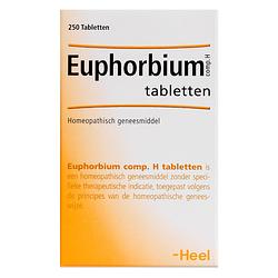 Foto van Heel euphorbium compositum tabletten 250st