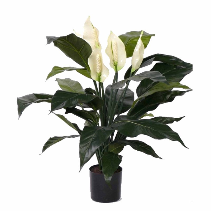 Foto van Kunst spathiphyllum 75 cm - kunstplanten