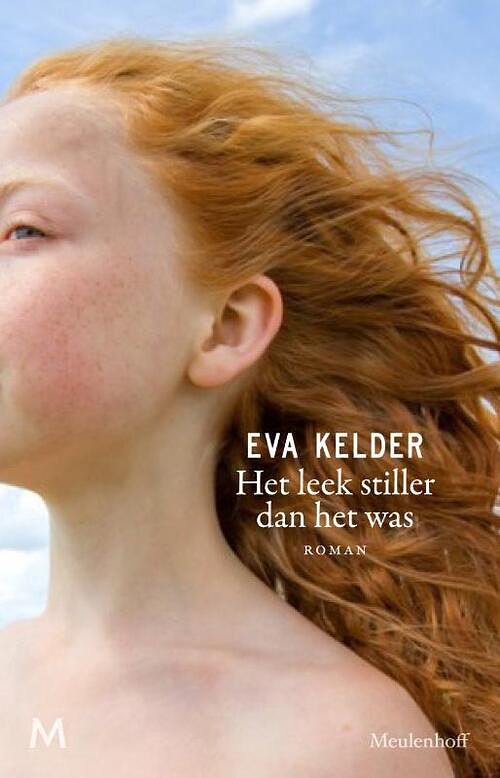 Foto van Het leek stiller dan het was - eva kelder - ebook (9789460239182)