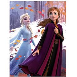 Foto van Disney frozen fleece deken herfst - 100 x 140 cm - multi