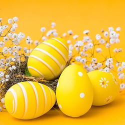 Foto van 40x servetten pasen thema gele eieren 33 x 33 cm - feestservetten
