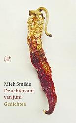 Foto van De achterkant van juni - miek smilde - ebook (9789029505949)