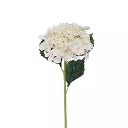 Foto van Buitengewoon de boet - hortensiatak cream 52 cm kunstplant
