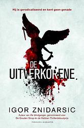 Foto van De uitverkorene - igor znidarsic - ebook (9789045214771)