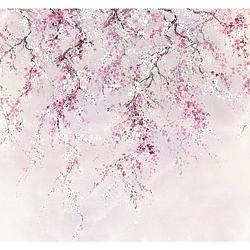 Foto van Komar kirschblüten vlies fotobehang 300x280cm 6-banen