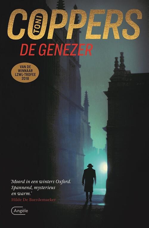 Foto van De genezer - toni coppers - ebook (9789460416101)