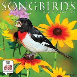 Foto van Songbirds kalender 2023