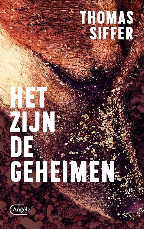 Foto van Het zijn de geheimen - thomas siffer - ebook (9789460415937)