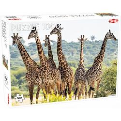 Foto van Tactic legpuzzel animals giraffe 48 x 67 cm karton 1000 stukjes