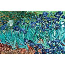 Foto van Pyramid van gogh les irises poster 91,5x61cm