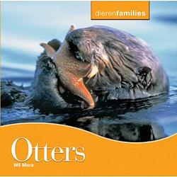 Foto van Otters - dierenfamilies