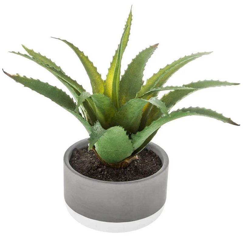 Foto van Atmosphera vetplant kunstplant in pot van cement 22 cm - kunstplanten