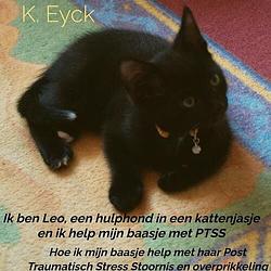 Foto van Ik ben leo, een hulphond in een kattenjasje en ik help mijn baasje met ptss - k. eyck - paperback (9789403626925)