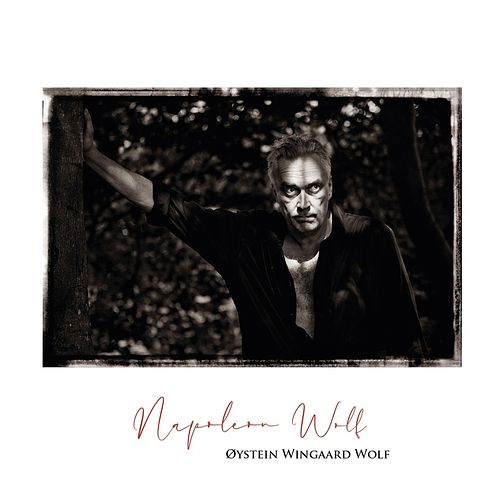 Foto van Napoleon wolf - cd (7041889649525)